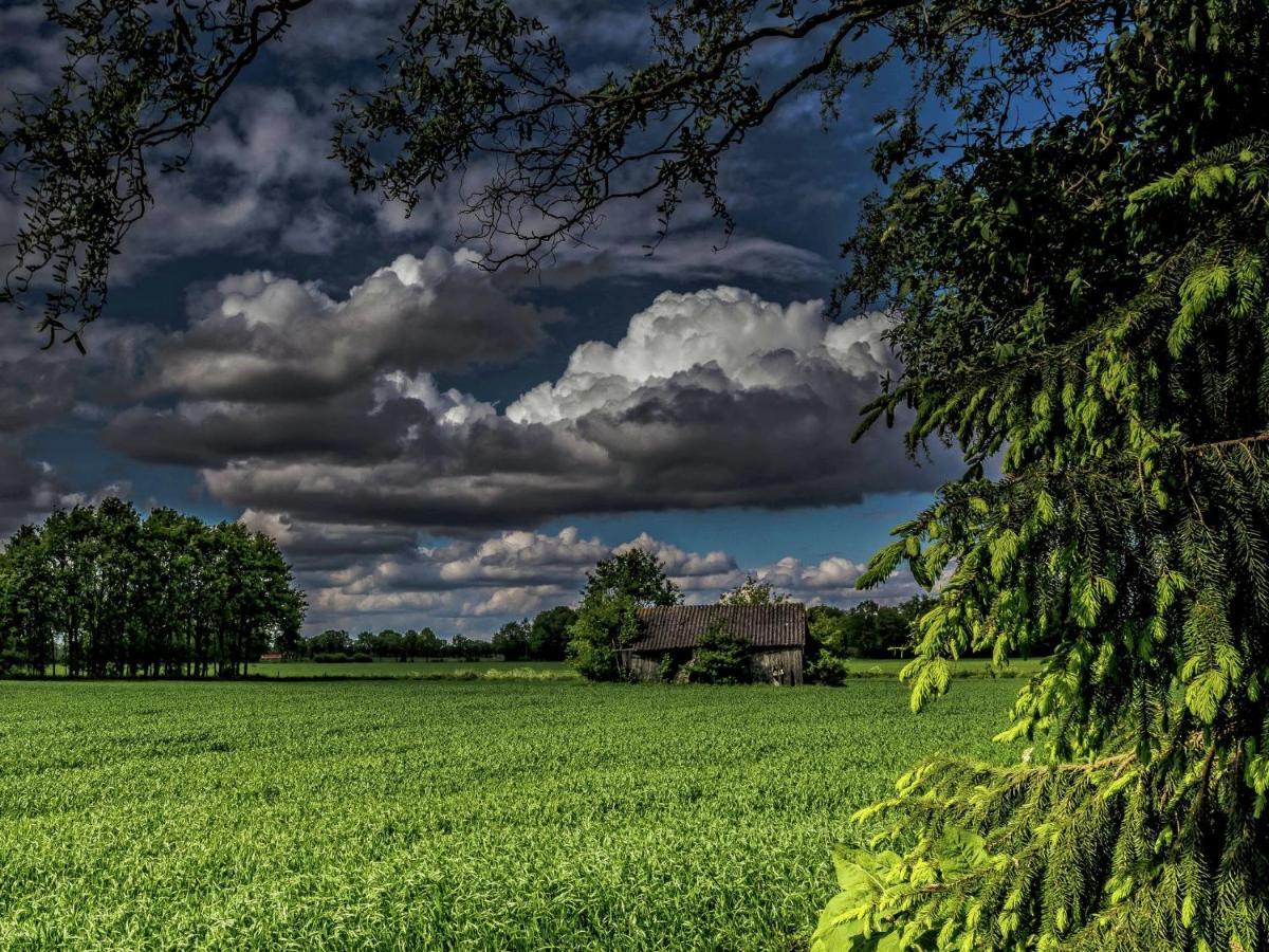 Staying In A Thatched Barn With Box Bed Beautiful View Region Achterhoek Geesteren  Zewnętrze zdjęcie