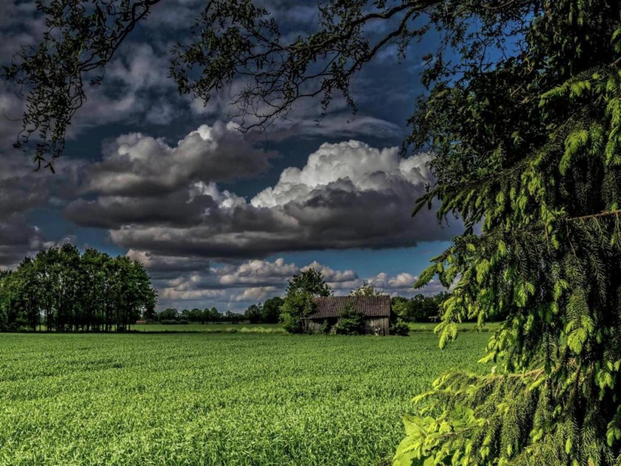 Staying In A Thatched Barn With Box Bed Beautiful View Region Achterhoek Geesteren  Zewnętrze zdjęcie
